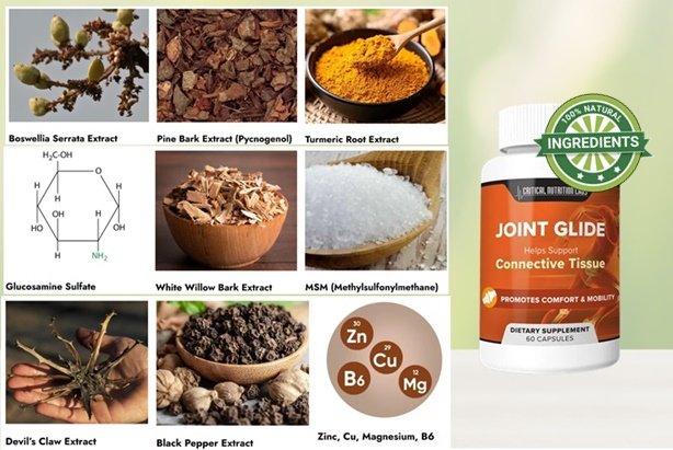 Joint Glide Ingredients
